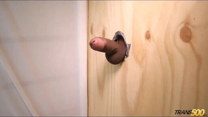 Hot shemale Jessi Martinez sucks and licks big penis