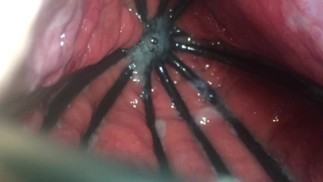 Whisk nice look inside hole