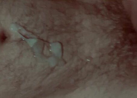 with your Dick please