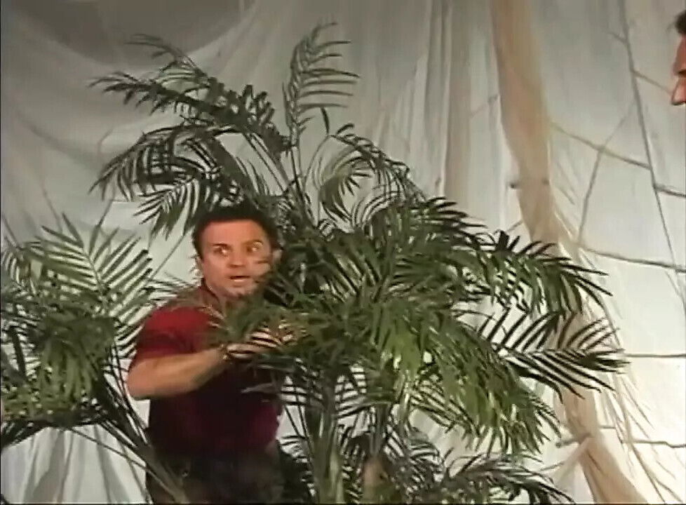 Harmony Rose Like Play making works with more than usual