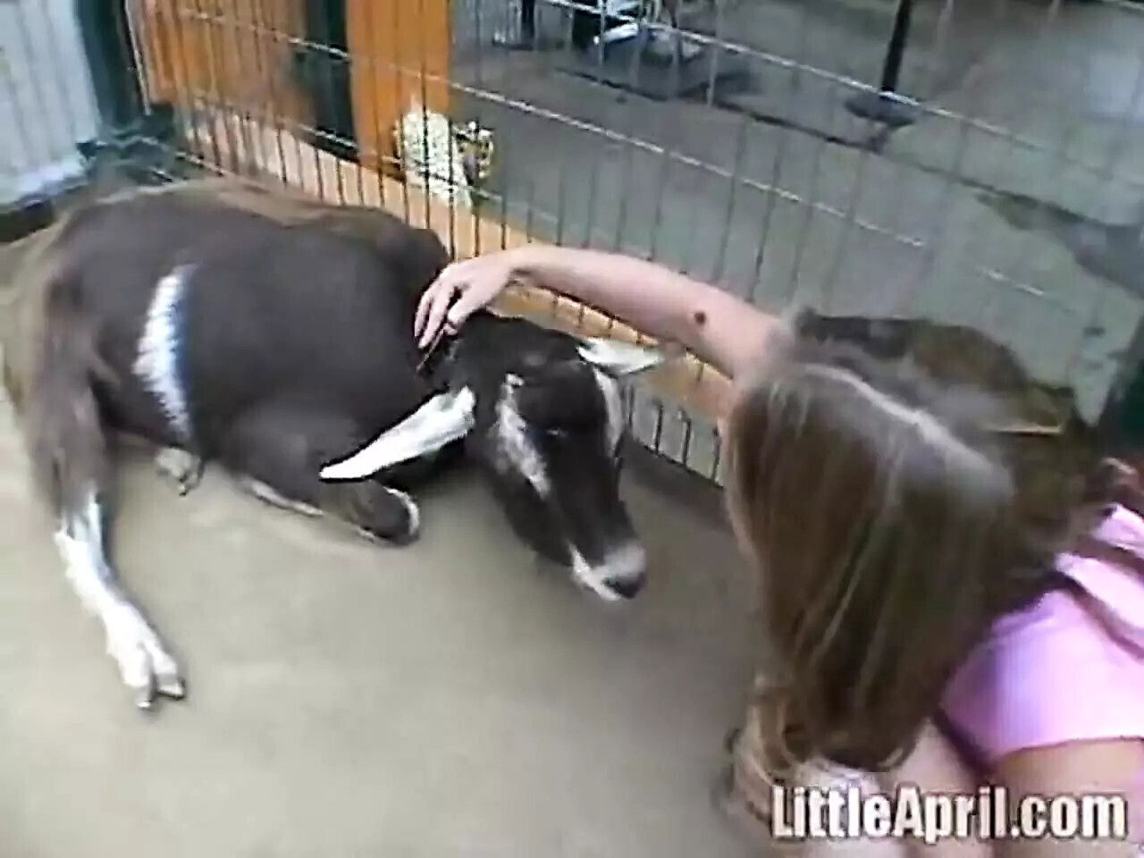 Teen does some solo heavy petting