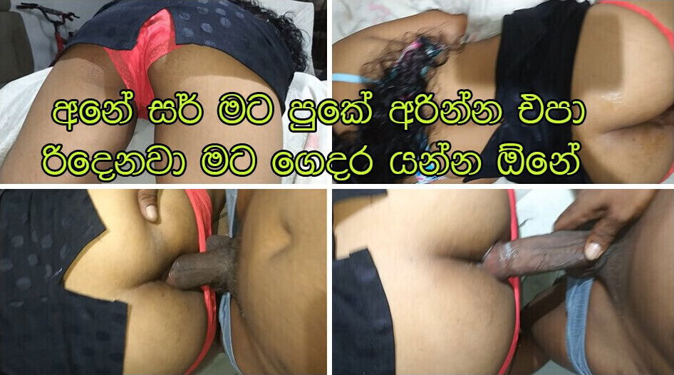 Hence thrust dick into slow steady mode lankan sexy teen girlfriend with white