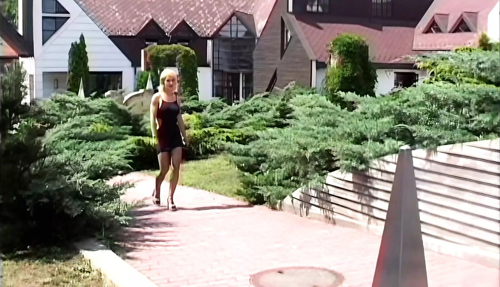 Barbara Summer Amazing