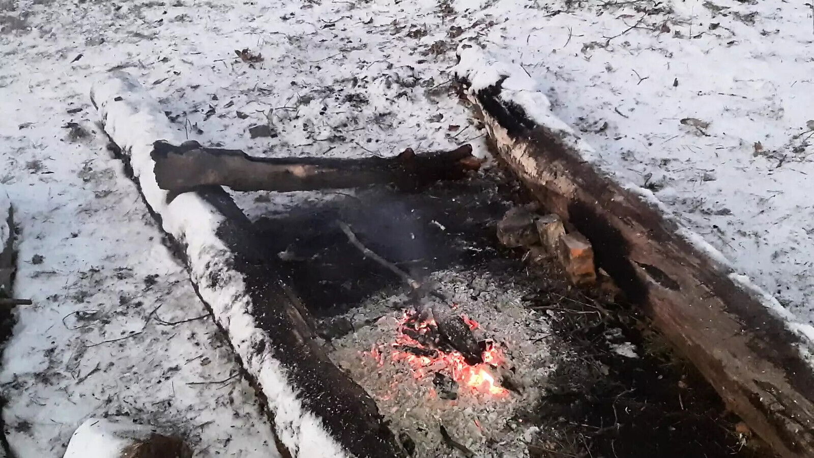 girlfriend risky pussy licking woods near campfire picnic Lesbian-candys