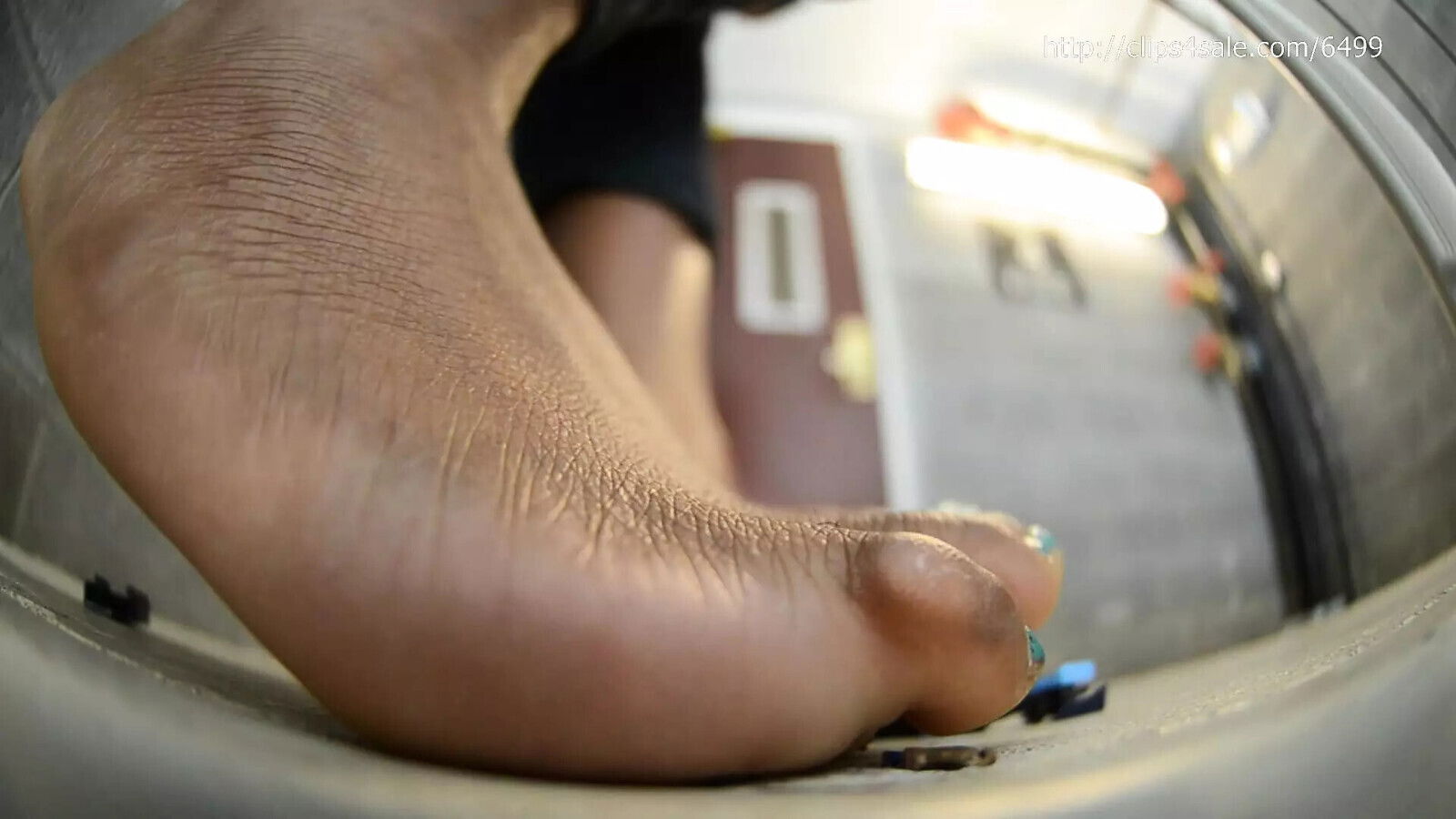 Montana doesn't tolerate flea people building little bugs gonna grease stains