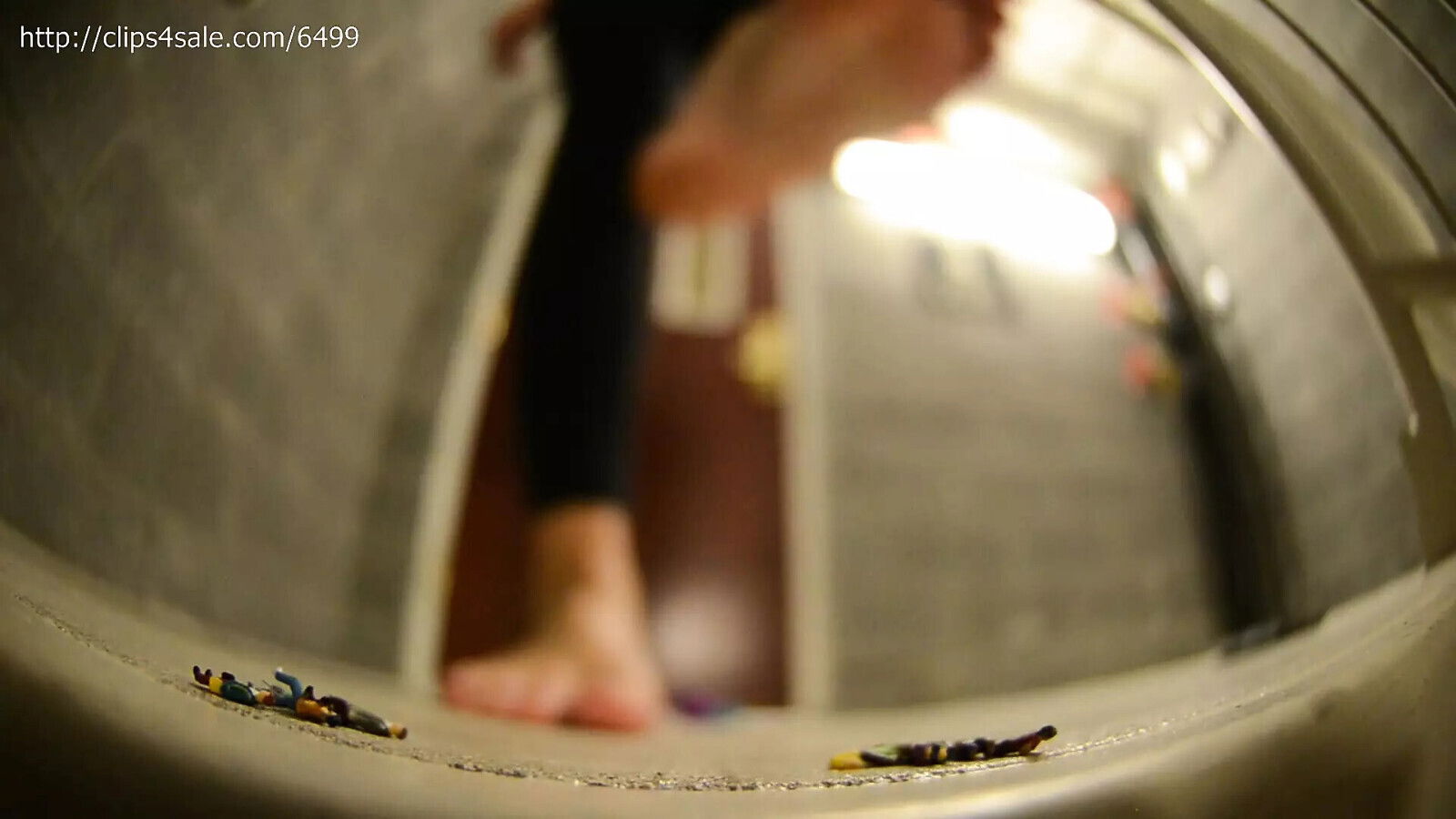 College Cutie disgusted with pests building part BAREFEET