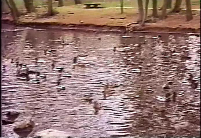 secretary works overtime with dildo boss's pussy