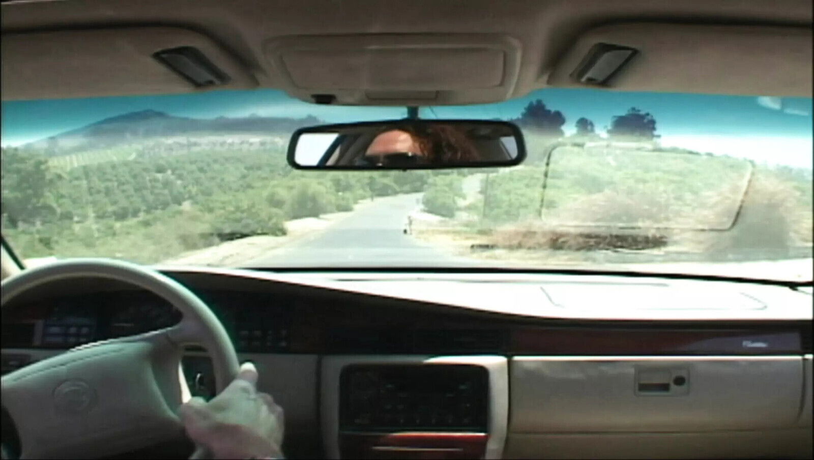 Audrey Hollander Hitchiker