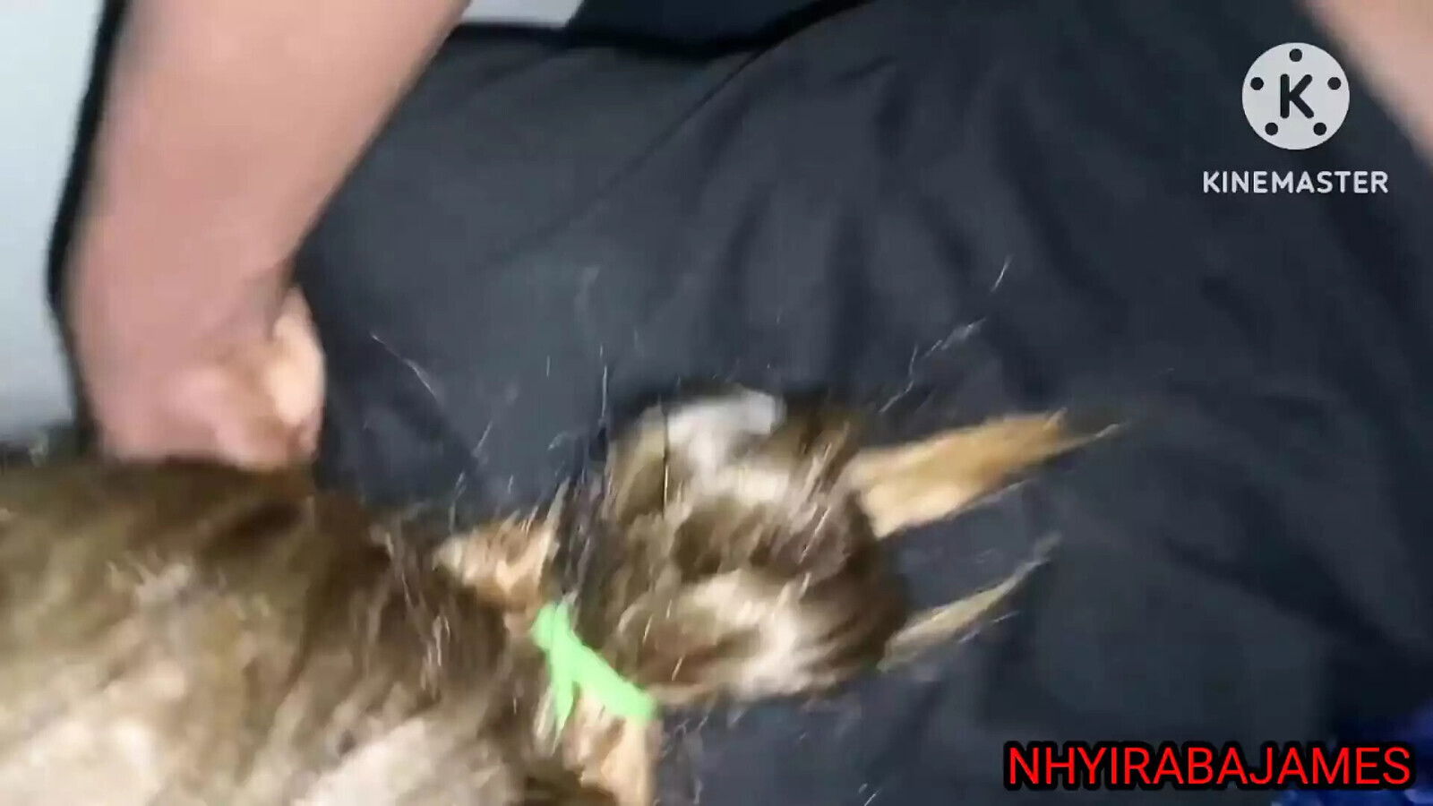 fuck hard because wanted make money Nhyiraba James