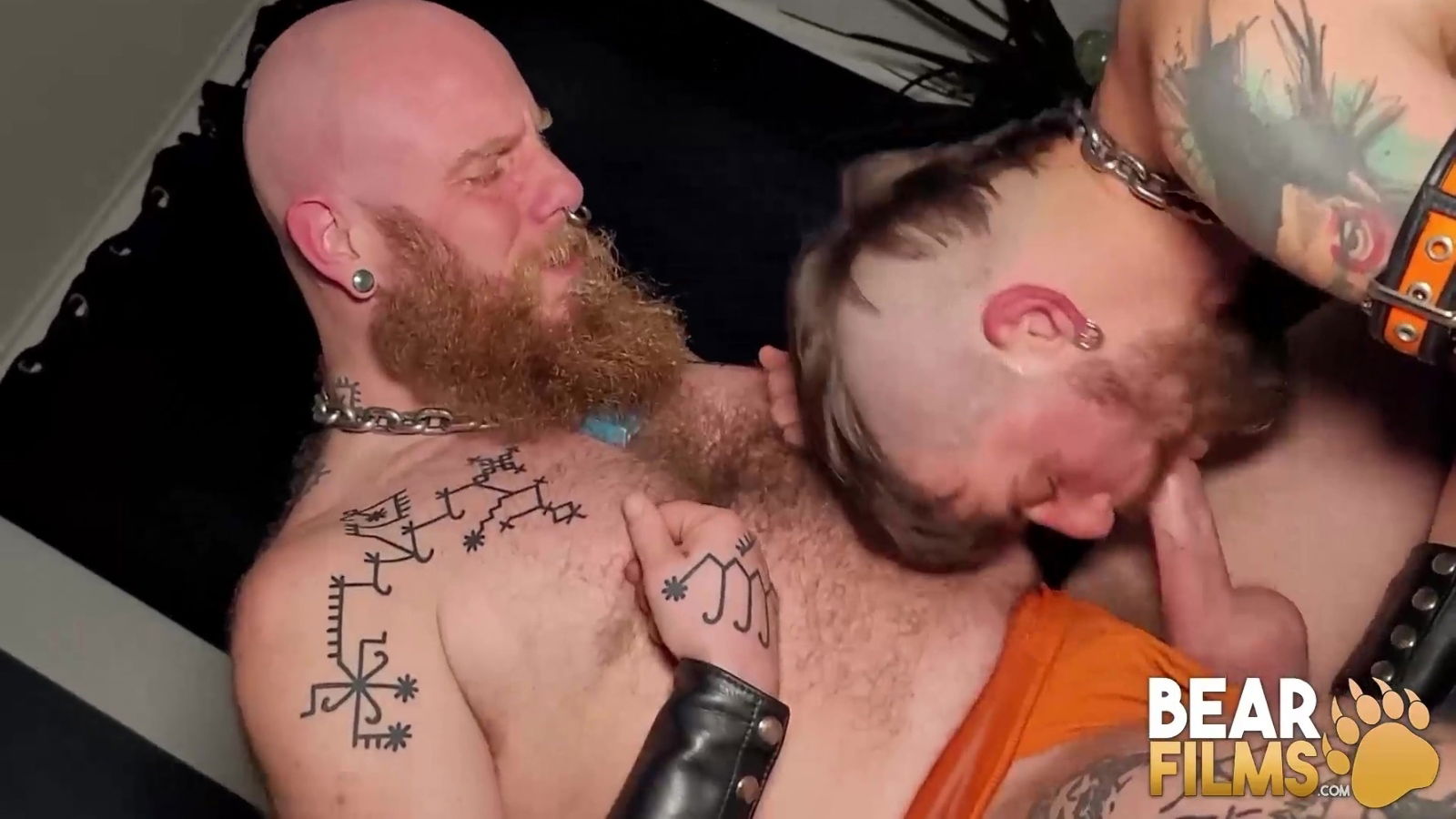 Hairy Bears Free Wolf Fellball Bareback Hard