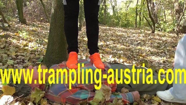 german proll trample