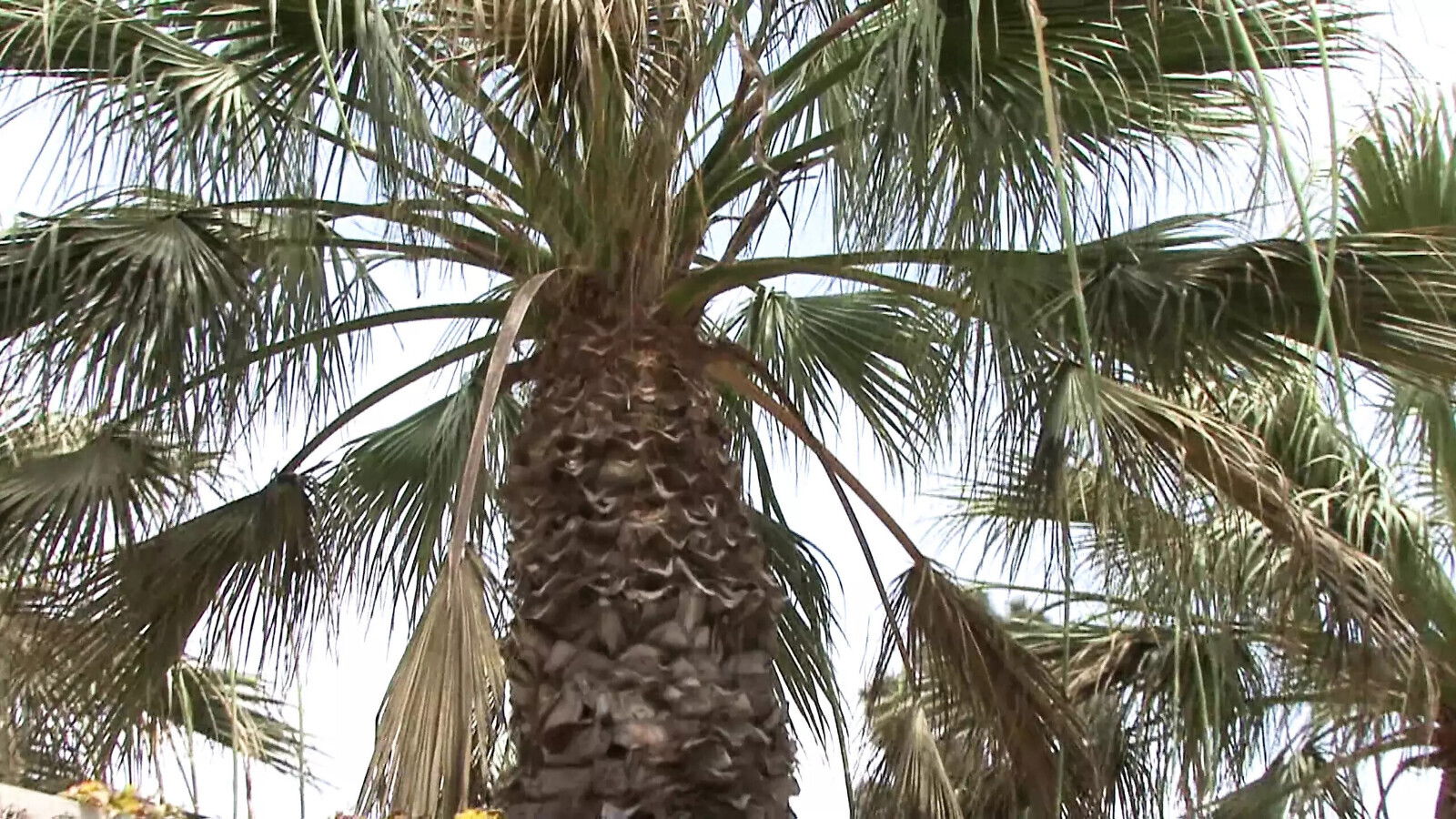 Brandy Aniston Milf Librarian