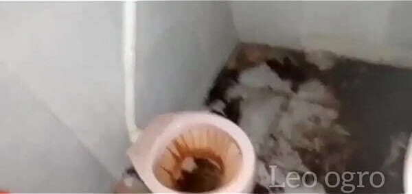 favela jacar&eacute_ cracuda reais barraco abandonado