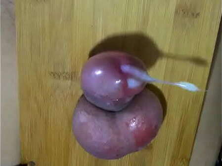 潰された睾丸は精液を発射する