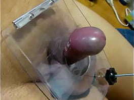 睾丸を潰されて興奮する