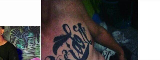 VERGOTA HINKISIDOR CRIMINAL