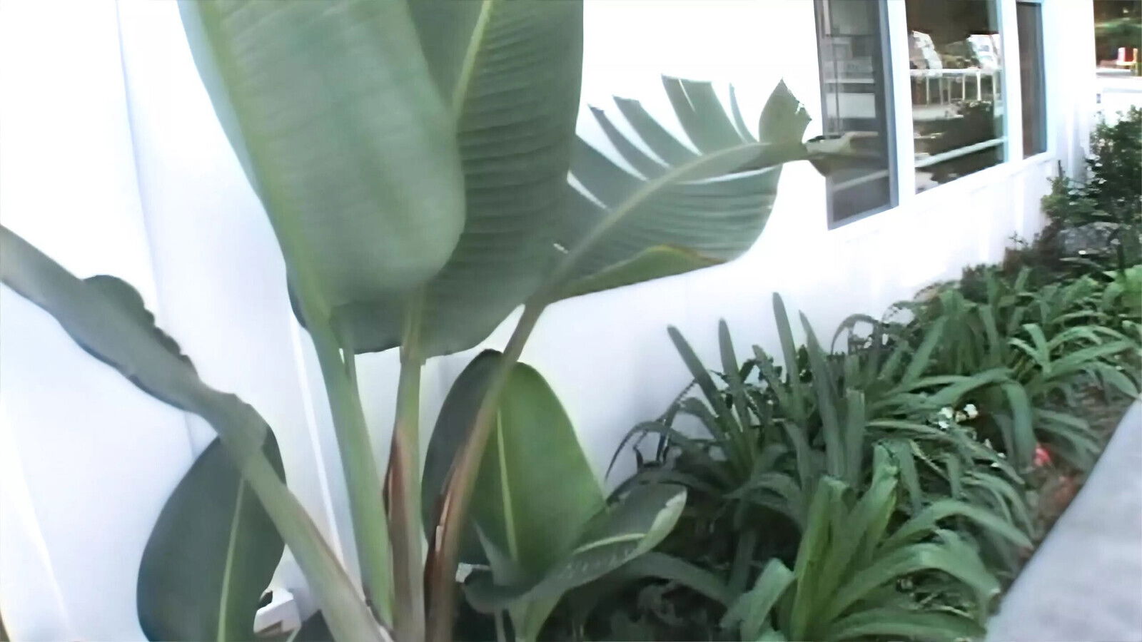 Barbie Cummings Loves Putting