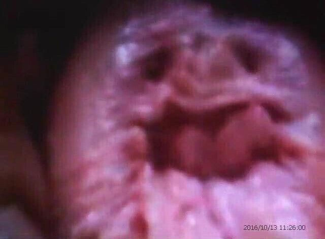 Black mature cunt Halloween Pranks! Amateur!