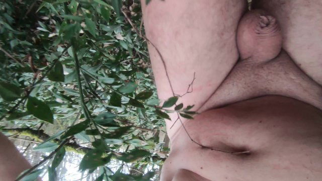 naked wood, walk brambles near road