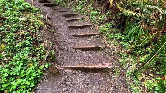 Hike with Mike Munson Creek Falls