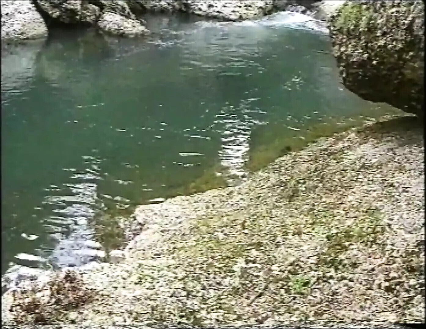 PRIVATE INDISCREZIONI (Full Movie)