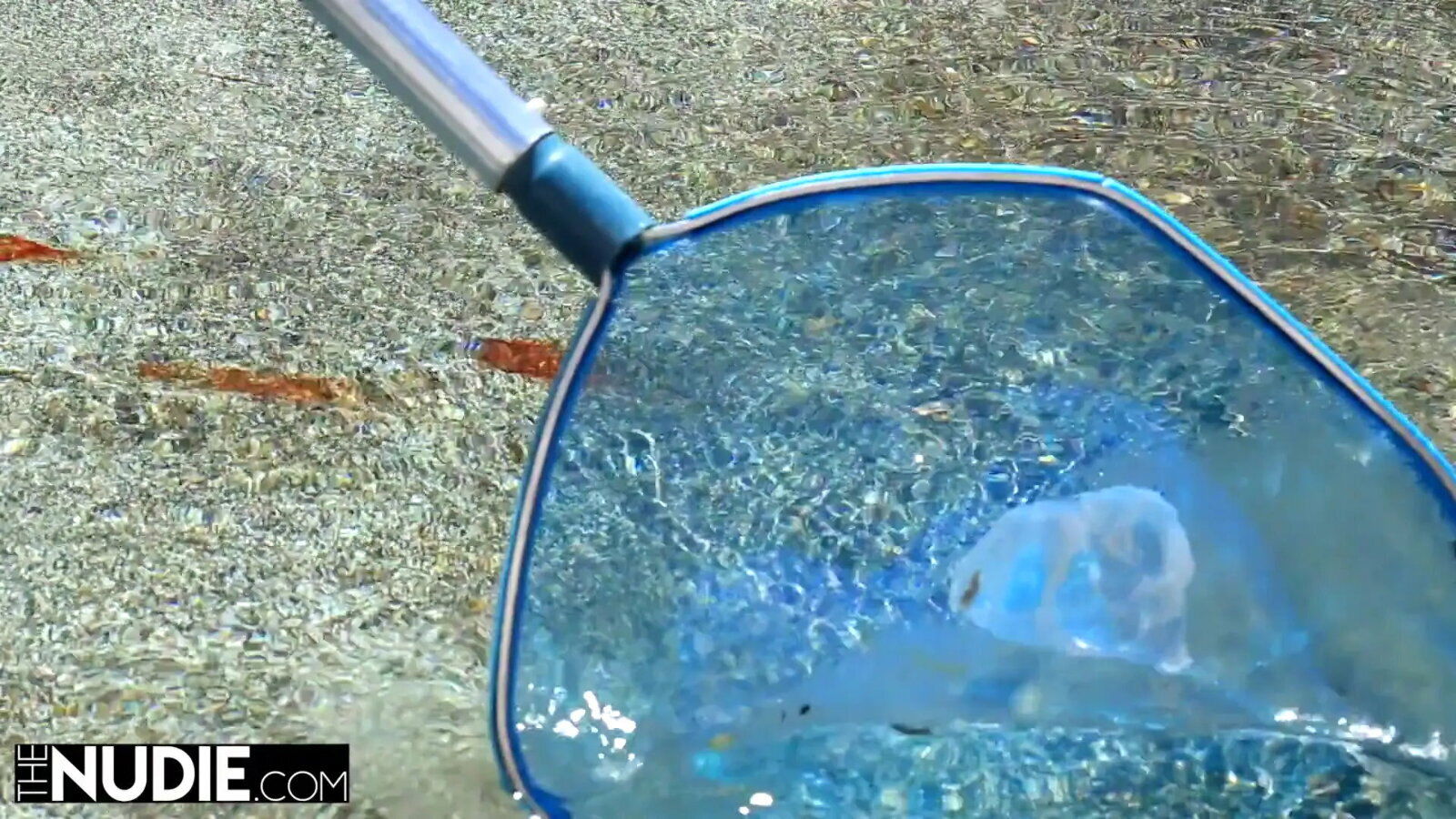 Mia Malkova Loves Riding His Big Cock