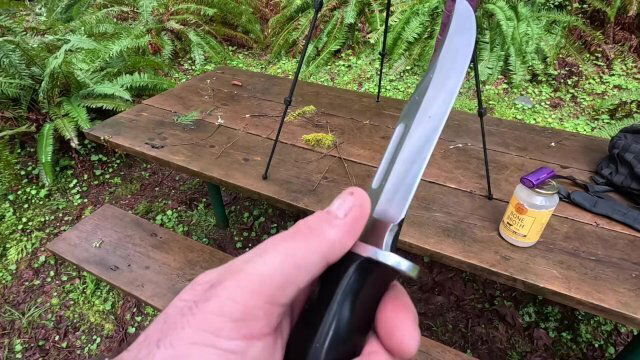 Hike with Mike Peninsula (plus riverside chat)