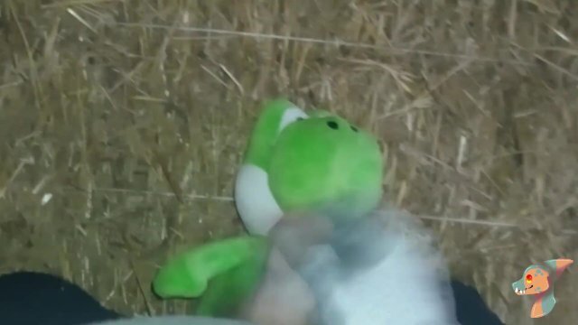 Yoshi love play with