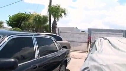 gorgeous black women fucking white