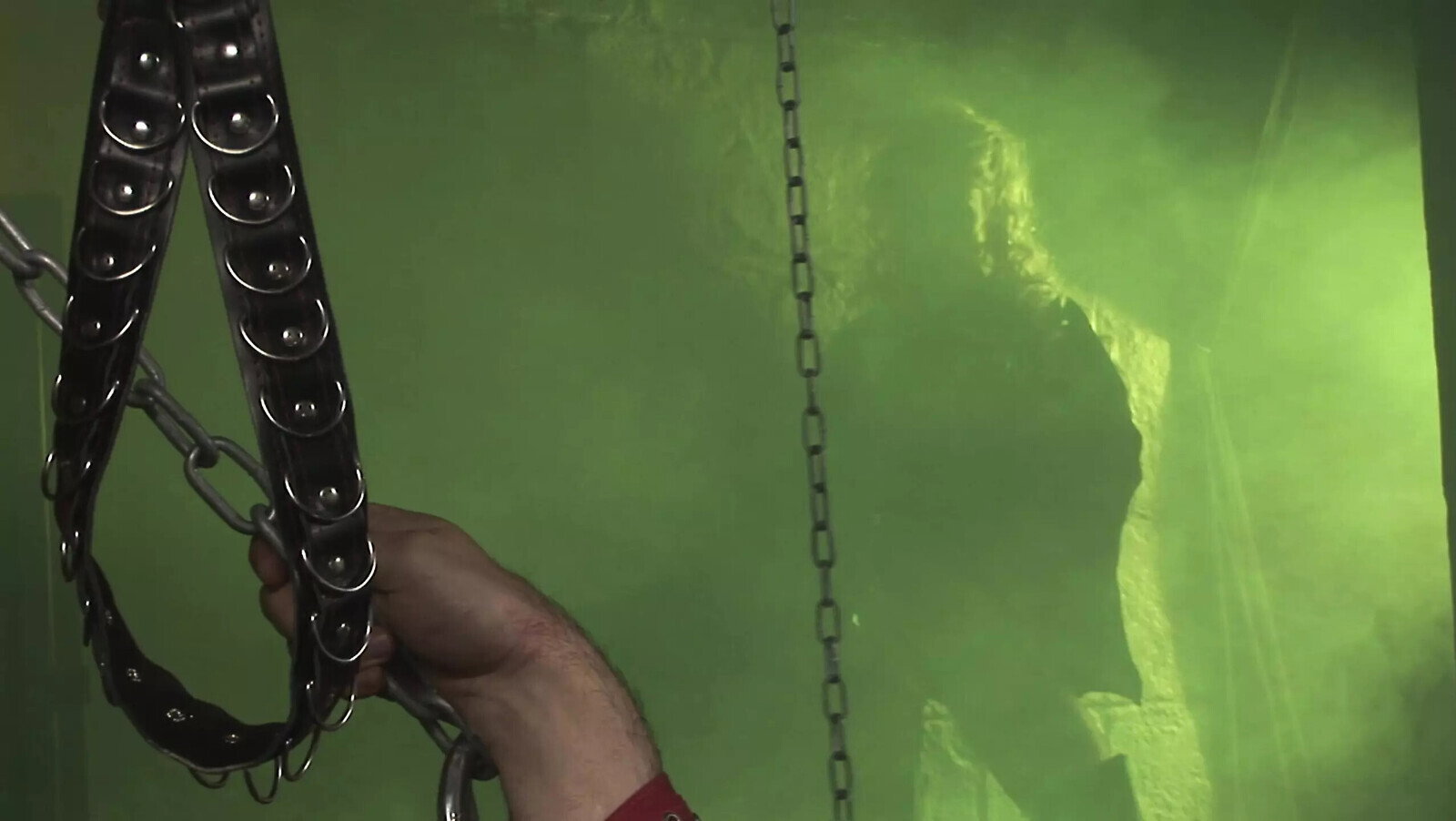 Cindy Behr Puts Ring Slave Fucks