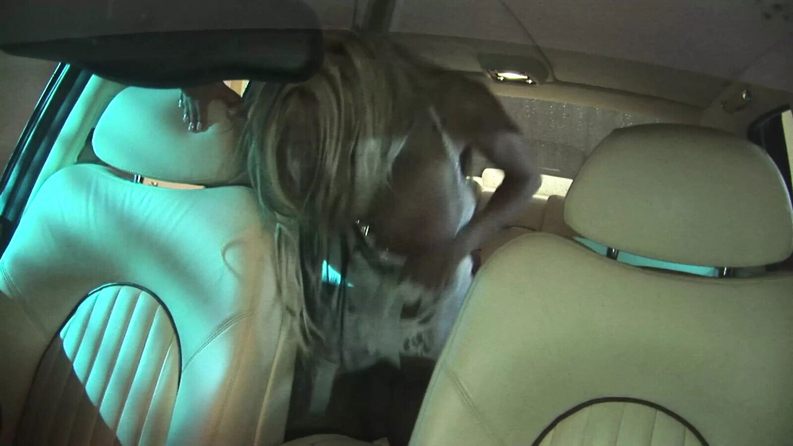 Lezley Danielle Derek Fuck Driver