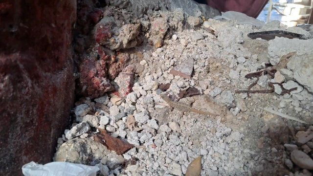 Outdoor masterbation this lizard curious...2023