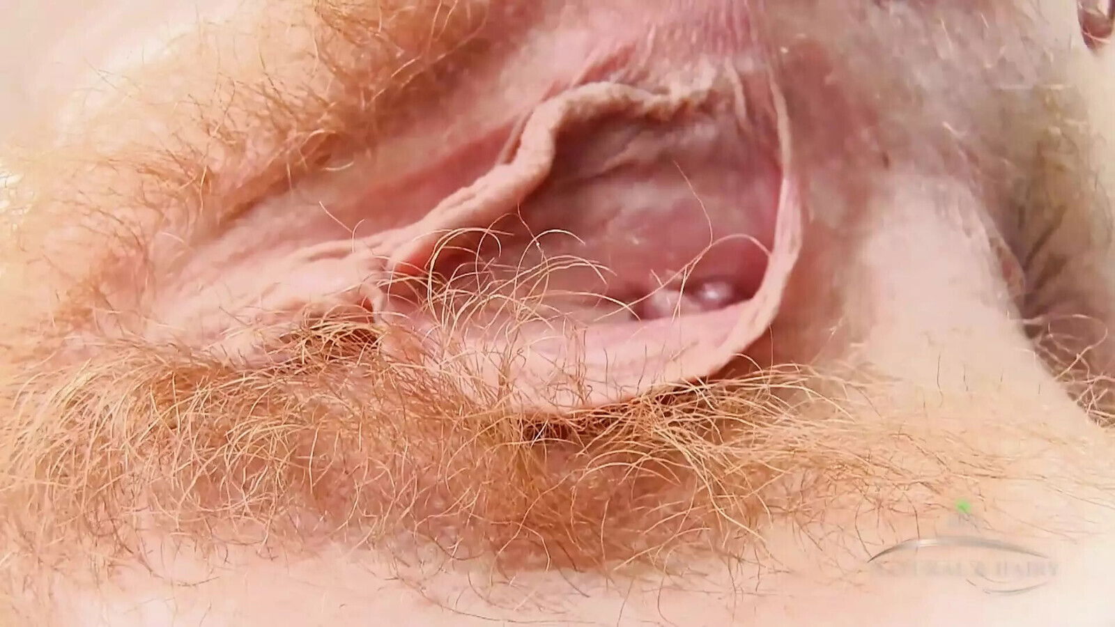 hairy pussy Molly gives nice hairy show