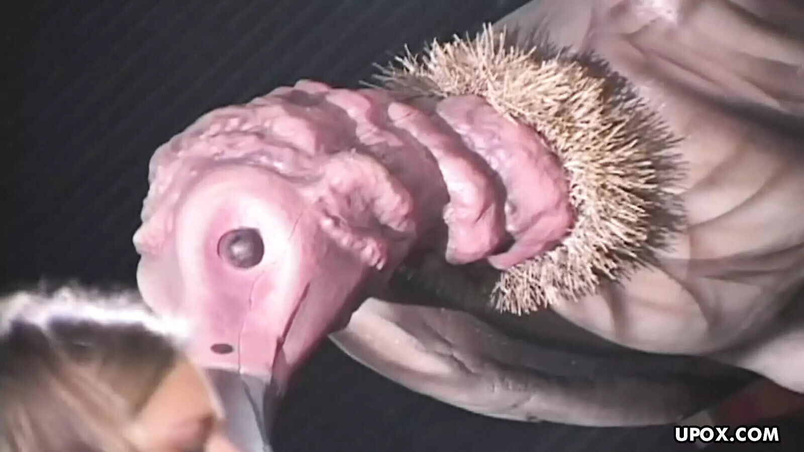 Amber Wild Azalea Lee,two lesbian girls,engage masturbation.