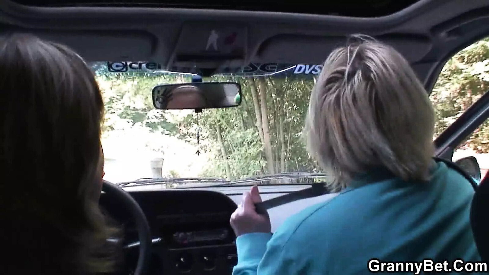 blonde hitchhiker doggy-fucked outside