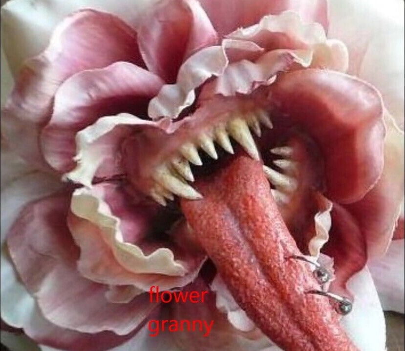 Flower Granny satyriasiss