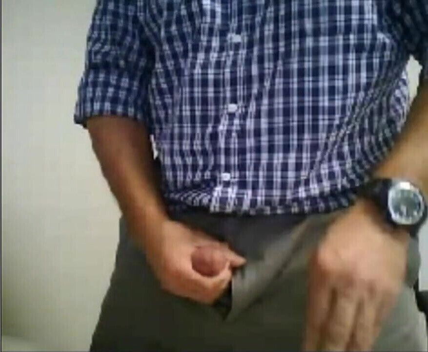 Spanish bear wanking office