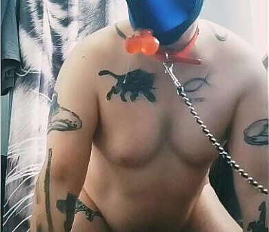 Gaywolf Mastino Grande