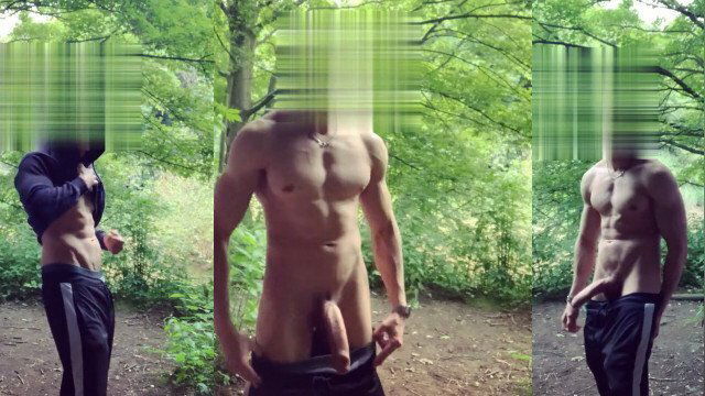 Wanted Caught Beautiful Belgium Forest Trail