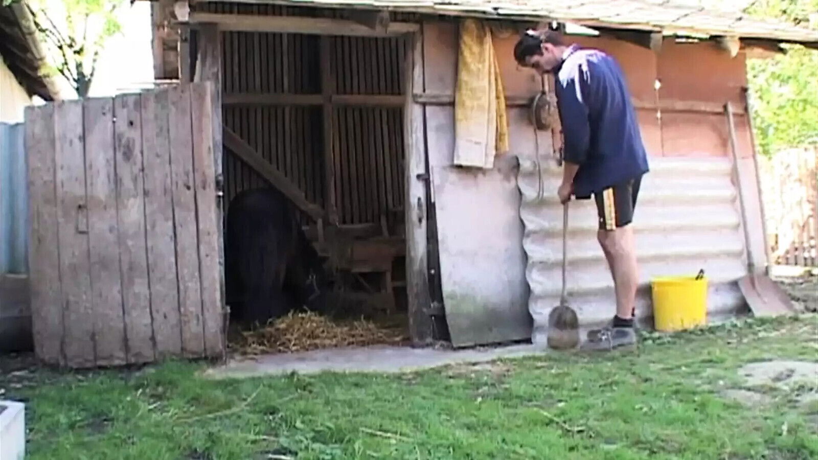 Dumb Begging FULL MOVIE