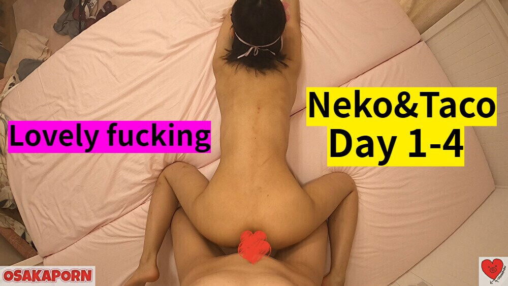 Neko&Taco Doggy, cowgirl blowjob OSAKAPORN