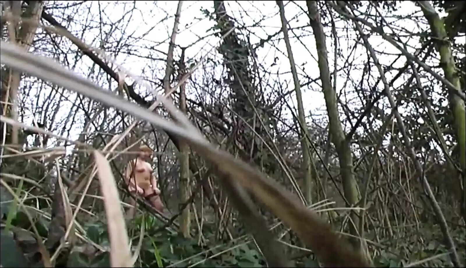 Film Dossier: ITALIA senza VERGOGNA delirio