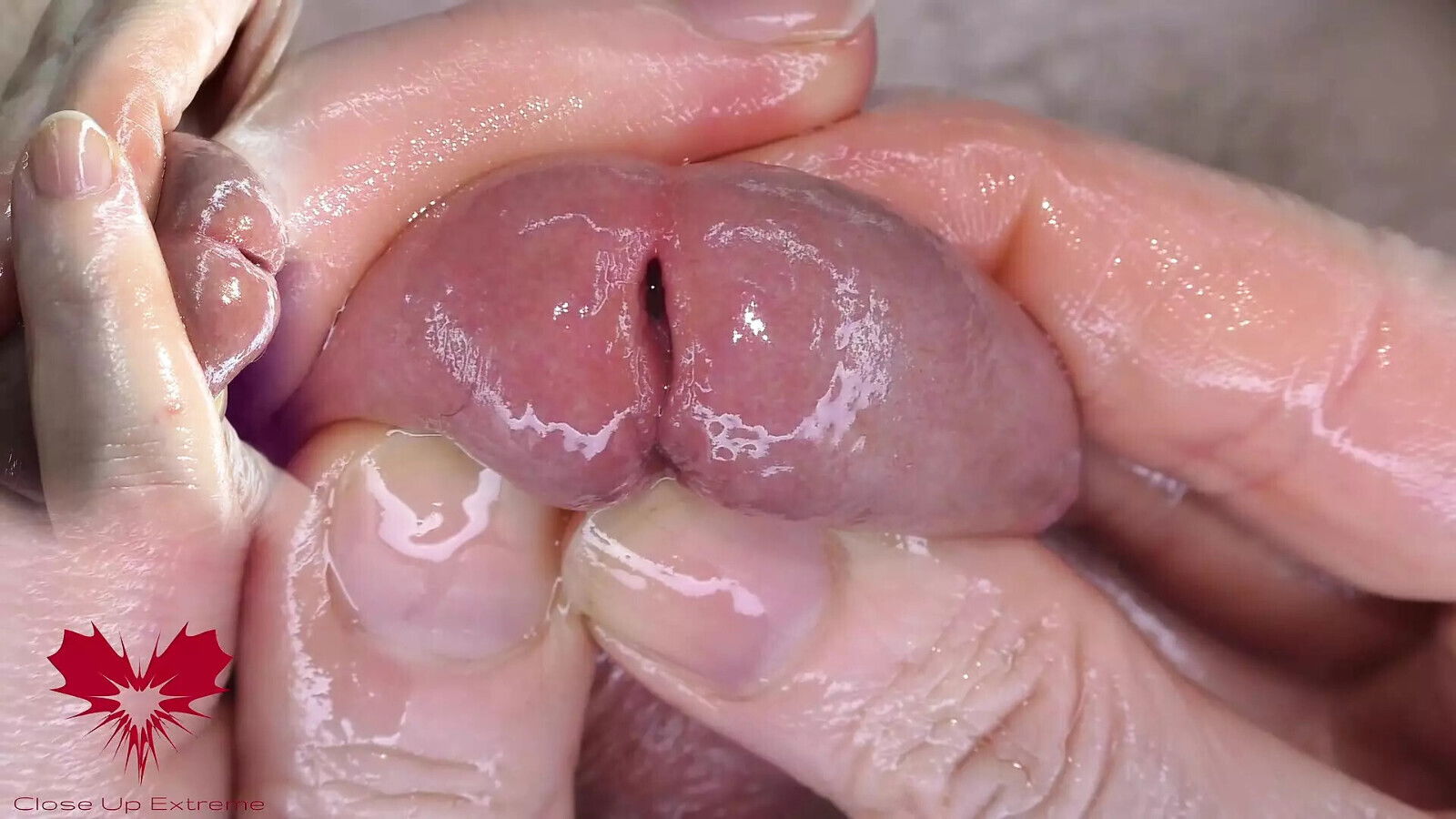 Super close-up glans. Urethral games with dilator.