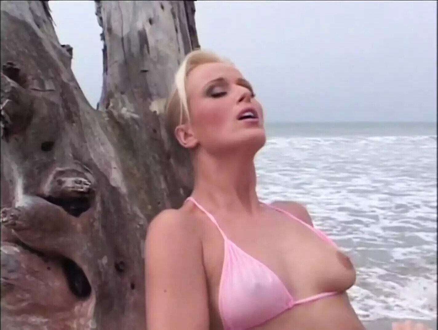 American Orgams Episode