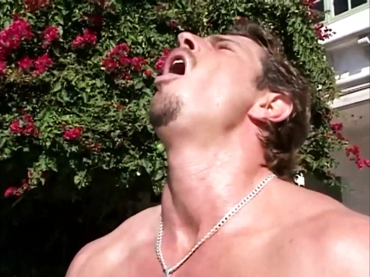 American Orgams Episode