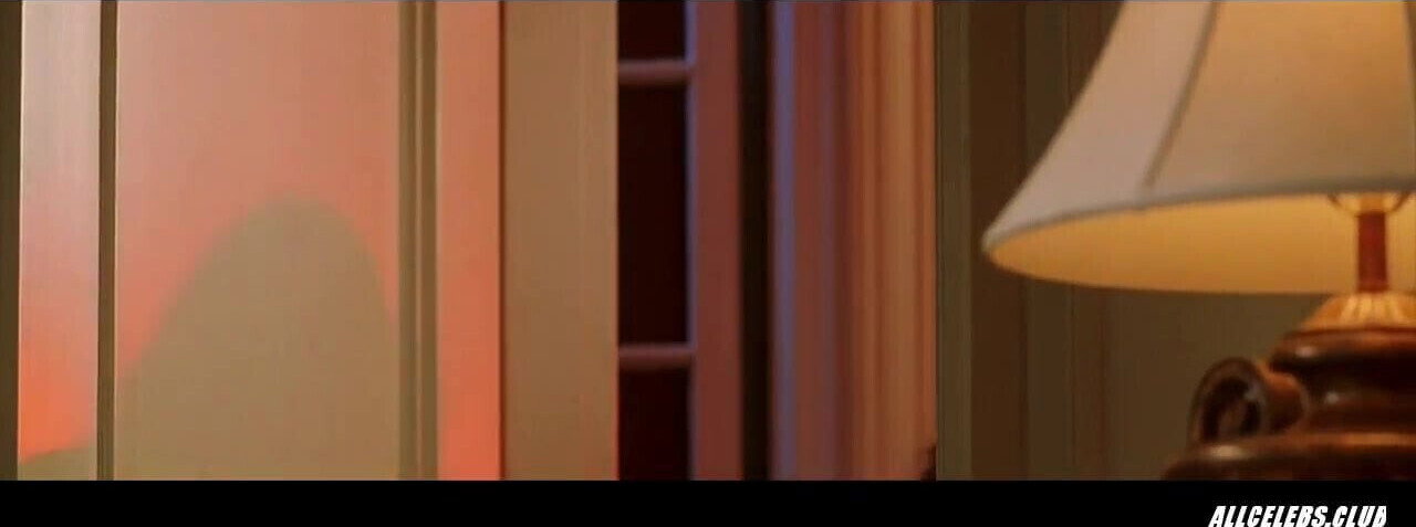 Denise Richards Valentine