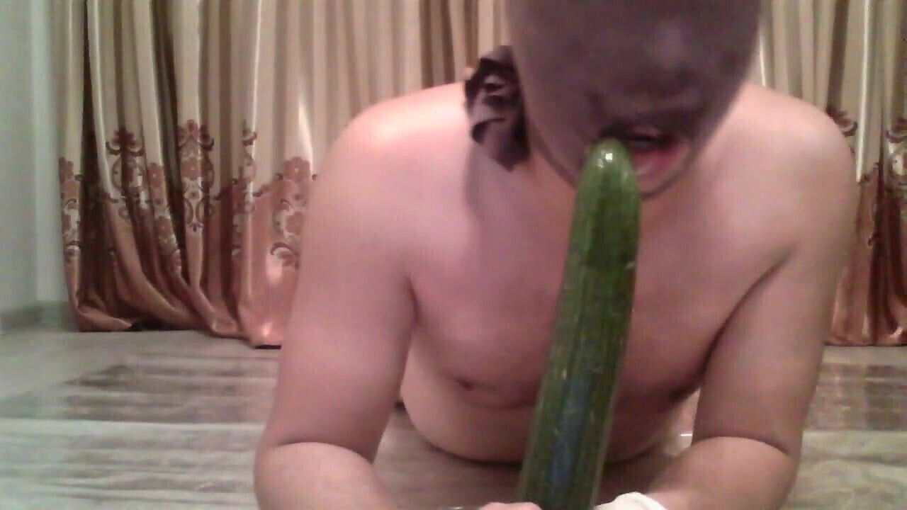 sucking cucumber
