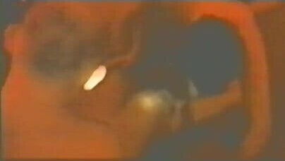 Lick Daddy Suck Bear Part.2