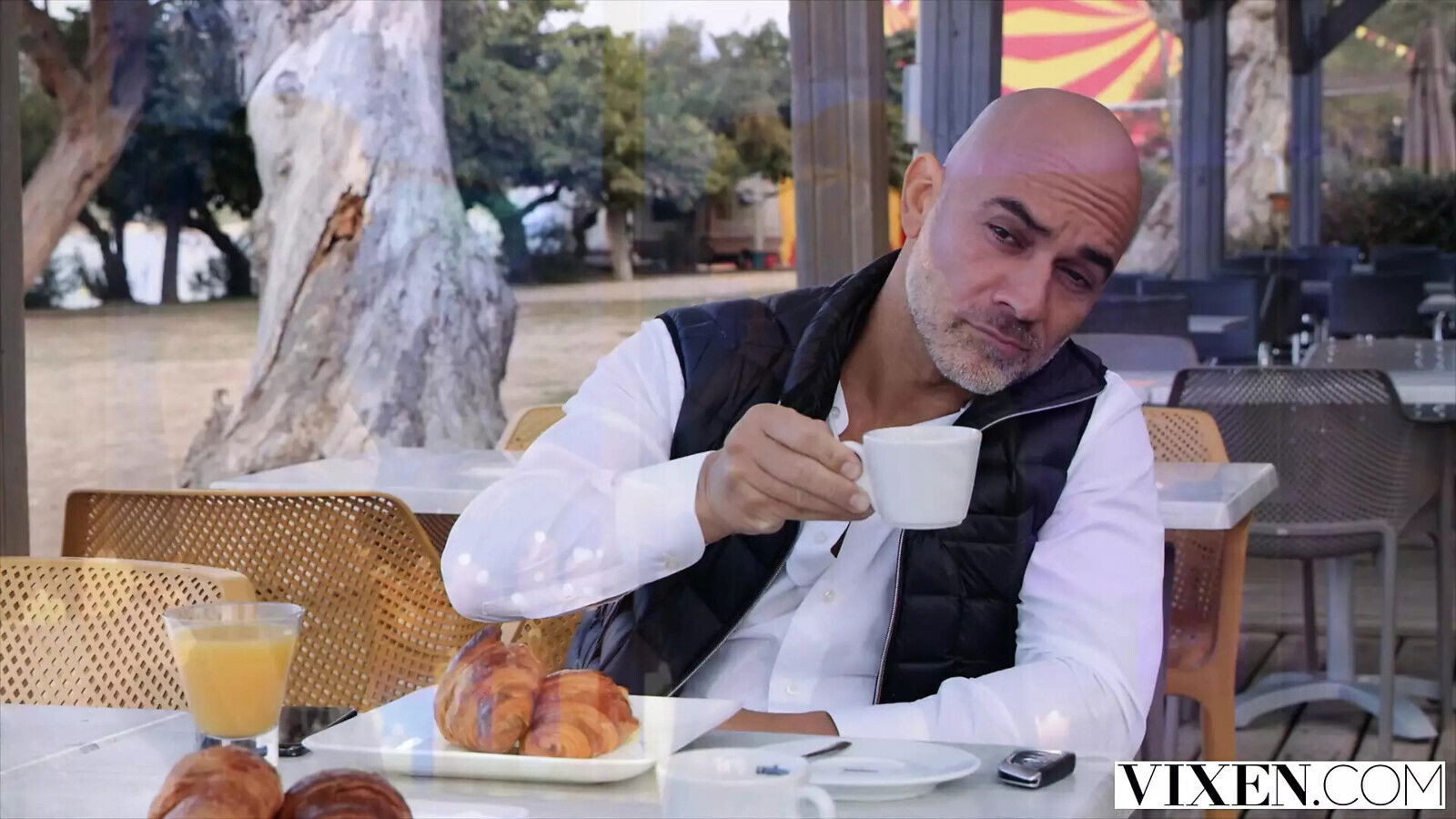 VIXEN MENAGE TROIS COMPILATION VOL.