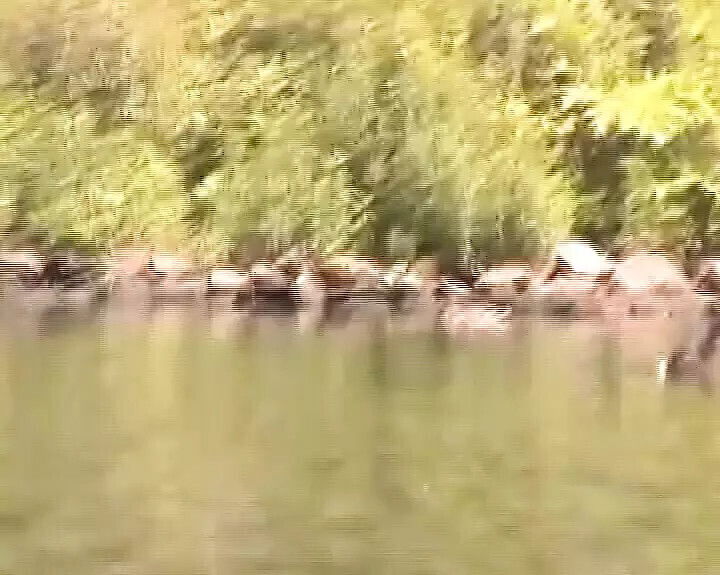 Curvy brunette lady from Germany pleasing public